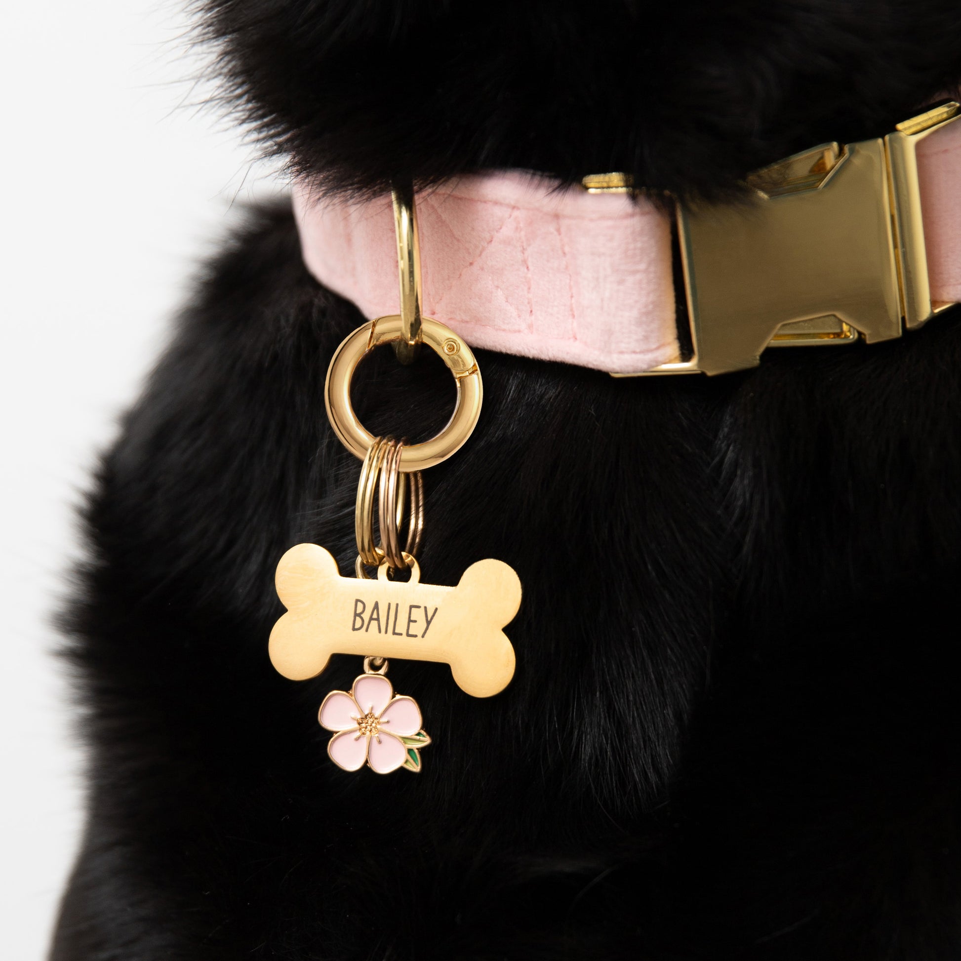 Sakura Blossom Collar Charm from The Foggy Dog