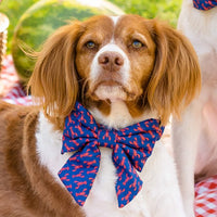 #Modeled by Maggie (40lbs) in a Large lady bow