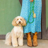 Rainbow Gingham Waste Bag Dispenser from The Foggy Dog