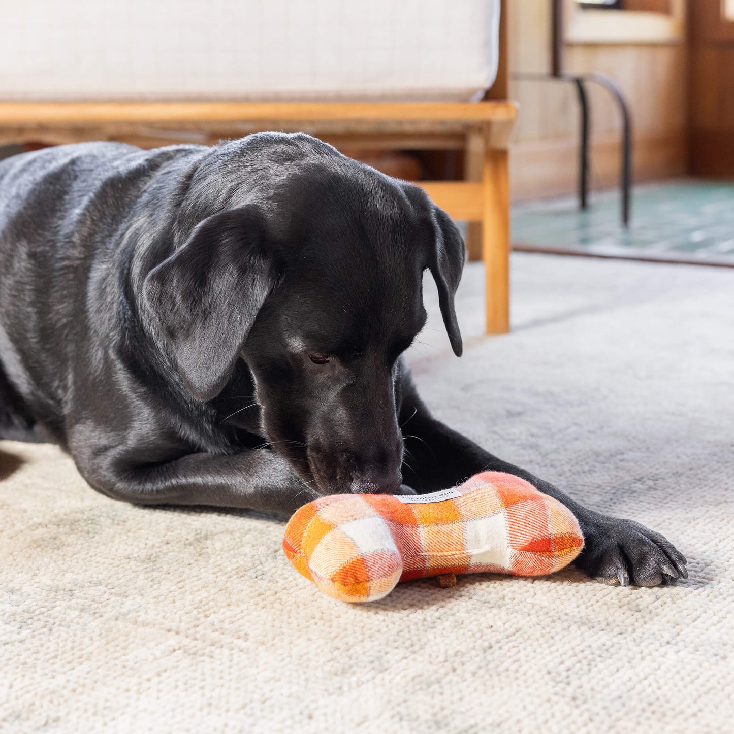 Pumpkin Spice Plaid Flannel Dog Squeaky Toy