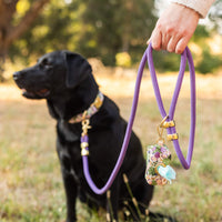 Violet Marine Rope Dog Leash from The Foggy Dog