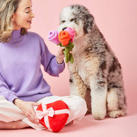 Be My Valentine Interactive Snuffle Dog Toy and Bouquet of Roses Interactive Snuffle Dog Toy from The Foggy Dog