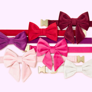 Burgundy, Cranberry, Plum, Hot Pink, Blush Pink, Ivory Velvet Bow Tie Collars and Lady Bow Collars from The Foggy Dog