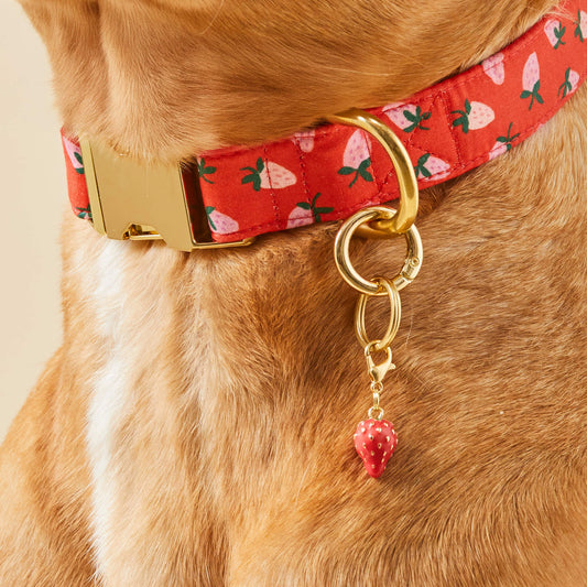 Strawberry Collar Charm from The Foggy Dog