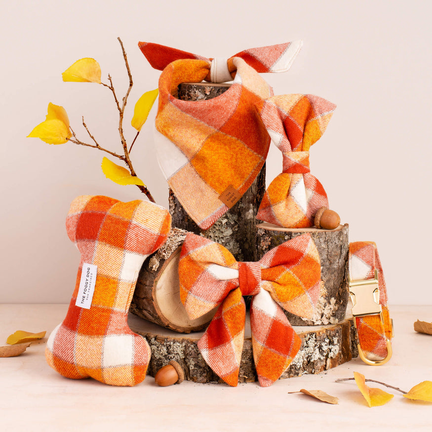  Fall Leaves and Big Pumpkin Dog Denim Jacket - Present for Dog  - Present for Dog Parent - XL : Pet Supplies