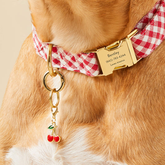 Cherries Collar Charm from The Foggy Dog