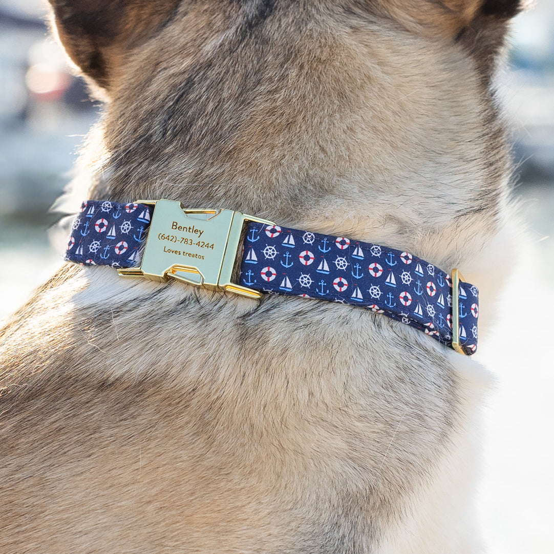 Matching dog collars best sale