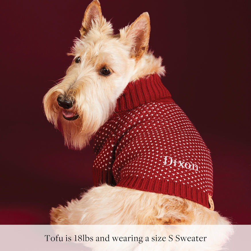 Jolly Sweater Dog Dress, X-Small