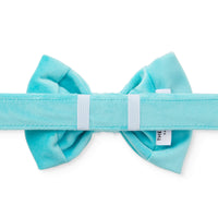 Robin's Egg Velvet Bow Tie Collar from The Foggy Dog