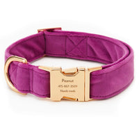 Plum Velvet Dog Collar from The Foggy Dog