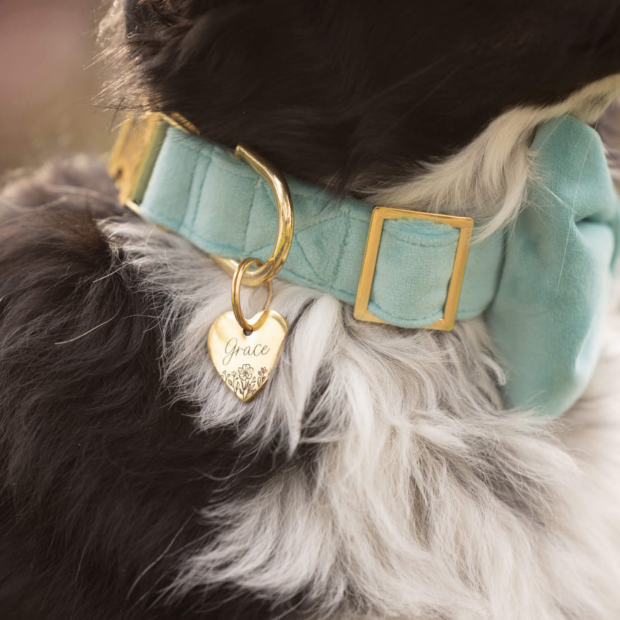 The Foggy Dog Sunset Flannel Collar