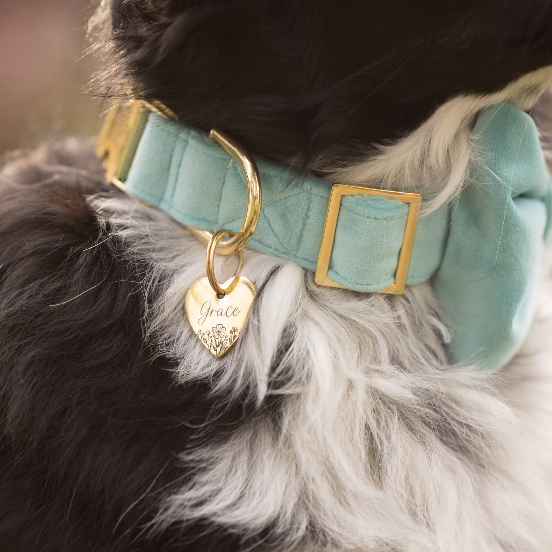 #Modeled by Wilson (25lbs) in a Large bow tie