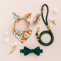 Evergreen Bow Tie Collar from The Foggy Dog