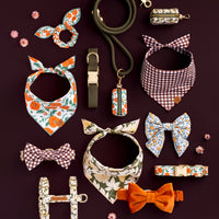 Pumpkin Velvet Bow Tie Collar from The Foggy Dog 