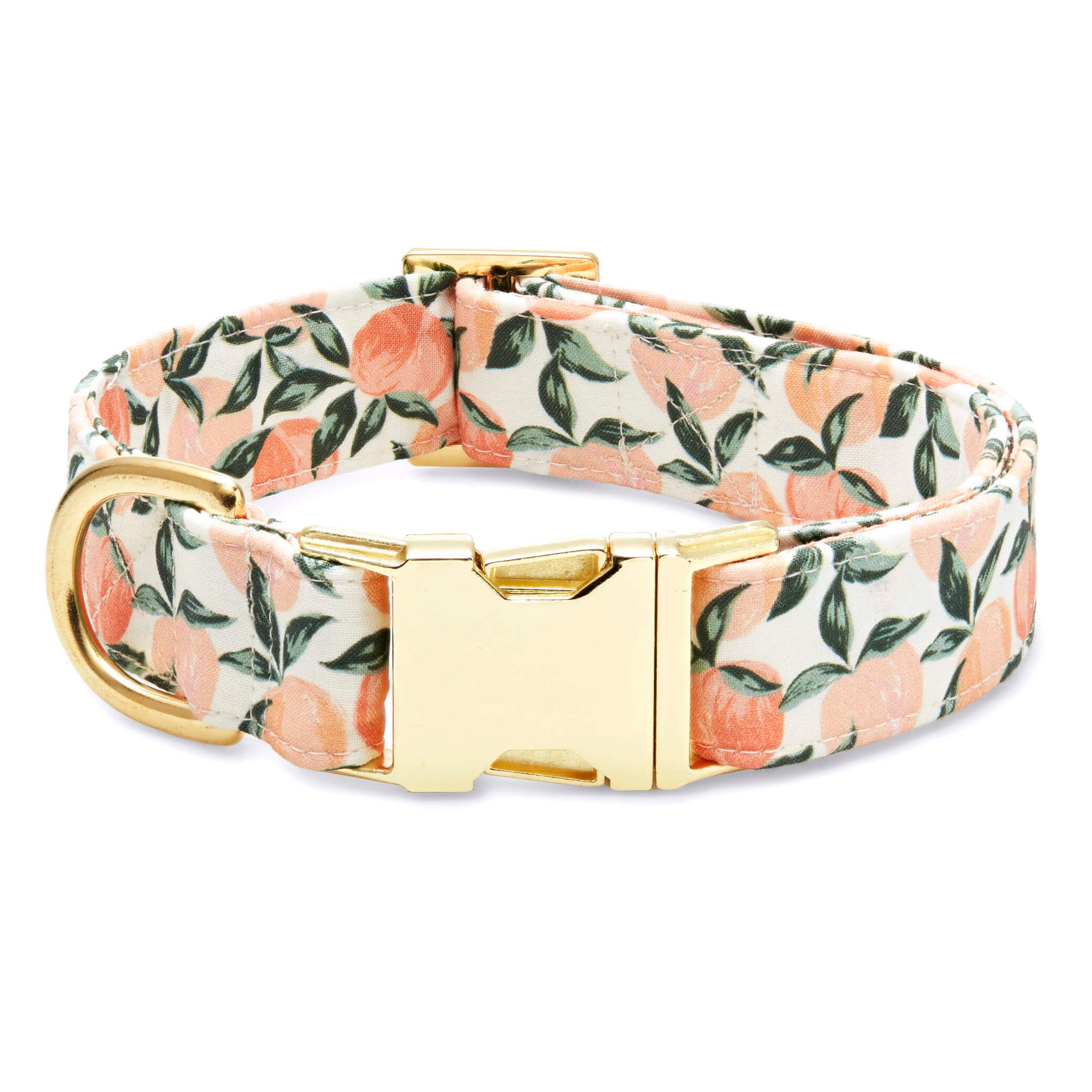 Peaches and Cream Dog Collar Summer Dog Collar Custom Engraving Personalization Option The Foggy Dog Size L Orange Florals