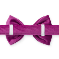 Plum Velvet Bow Tie Collar from The Foggy Dog