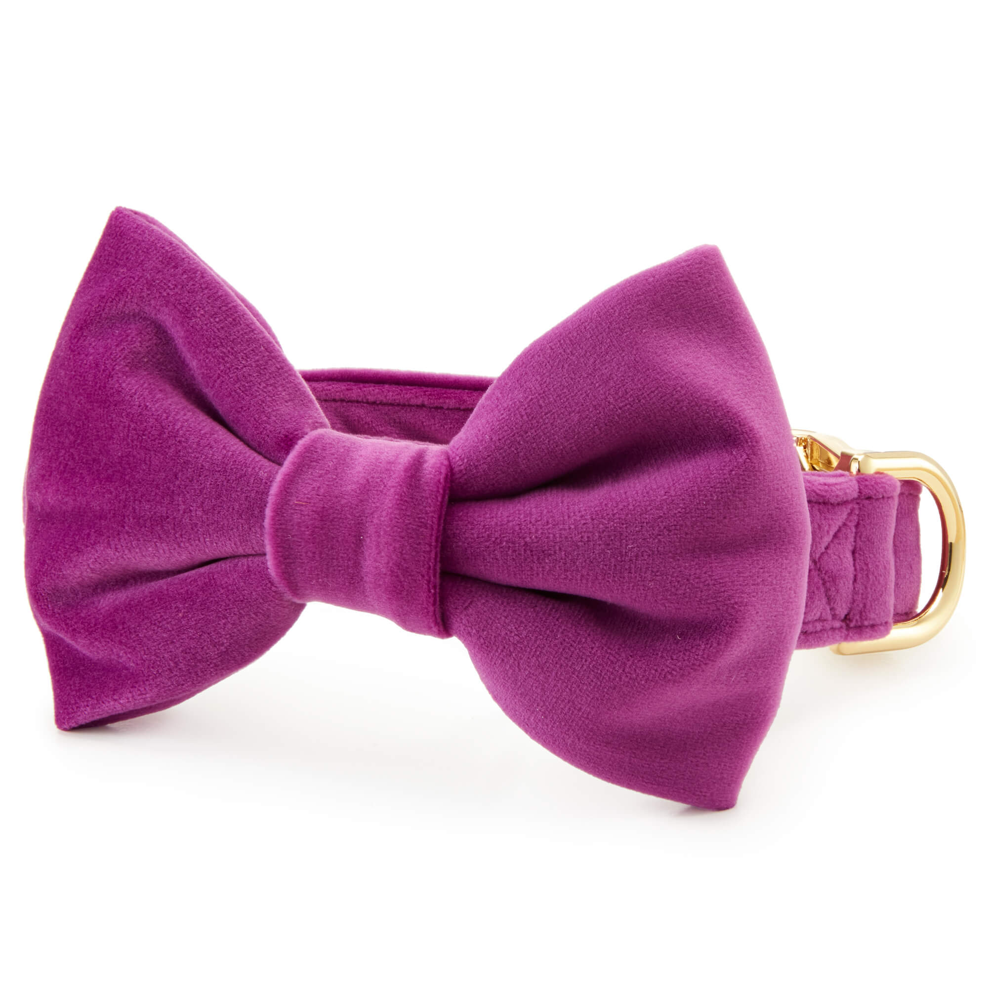 2 large store or giant bow ties snap onto your big dog's collar; purple, mauve & other colors