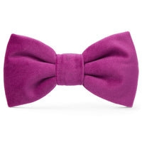 Plum Velvet Dog Bow Tie from The Foggy Dog