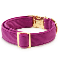 Plum Velvet Dog Collar from The Foggy Dog