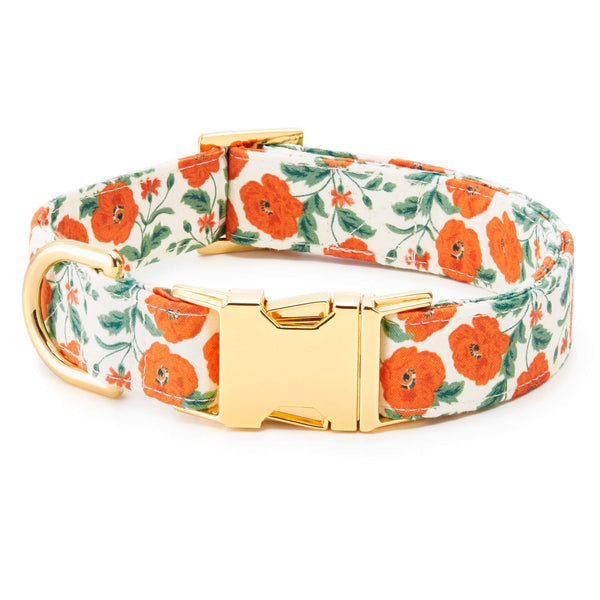 Leashes by Liz Ghost Dog Collar - Orange and