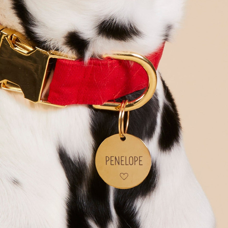 Kin & Pebble XL DOG TAG/KEY RING PER-4010 ST Doylestown