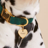 #Modeled by Dottie (43lbs) in a Large pet ID tag