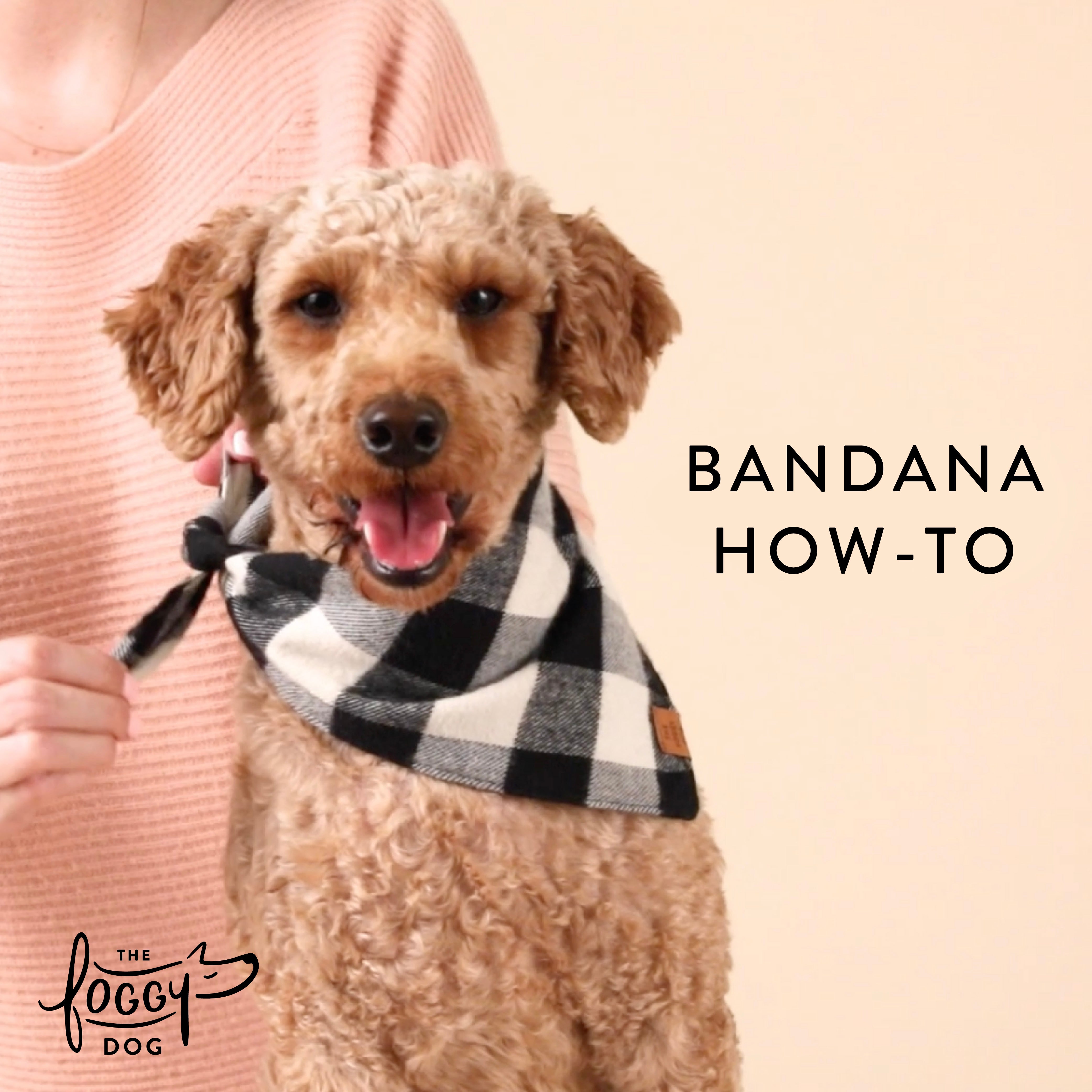 Pretty 2024 dog bandanas