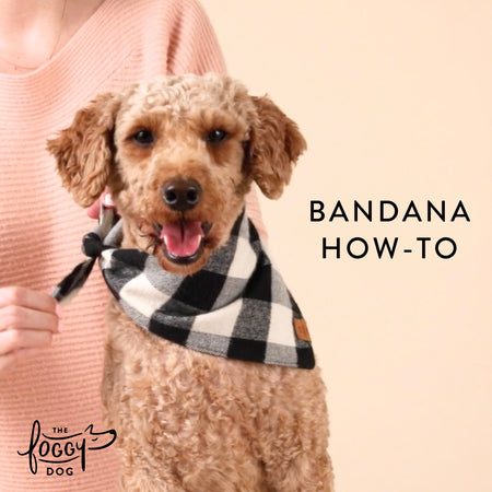 Pet Dog Bandana, Peach White Checker, Leather Name Tag, Personalized Name,  Bandanas for Dogs, Personalized Dog Bandana (Sizes: XXSmall - XXLarge)