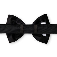 Black Velvet Dog Bow Tie from The Foggy Dog 