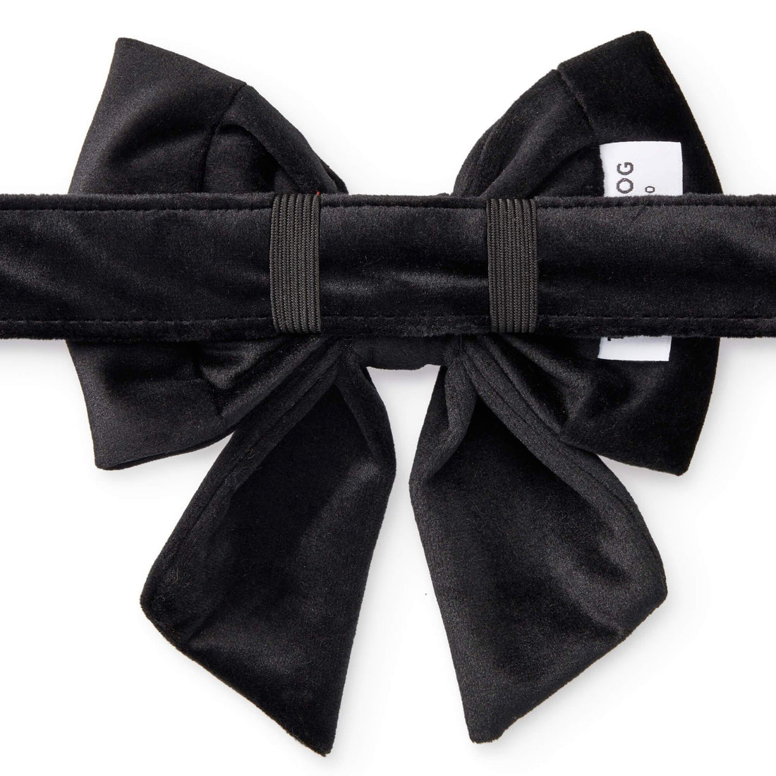 Black Velvet Lady Bow Collar – The Foggy Dog
