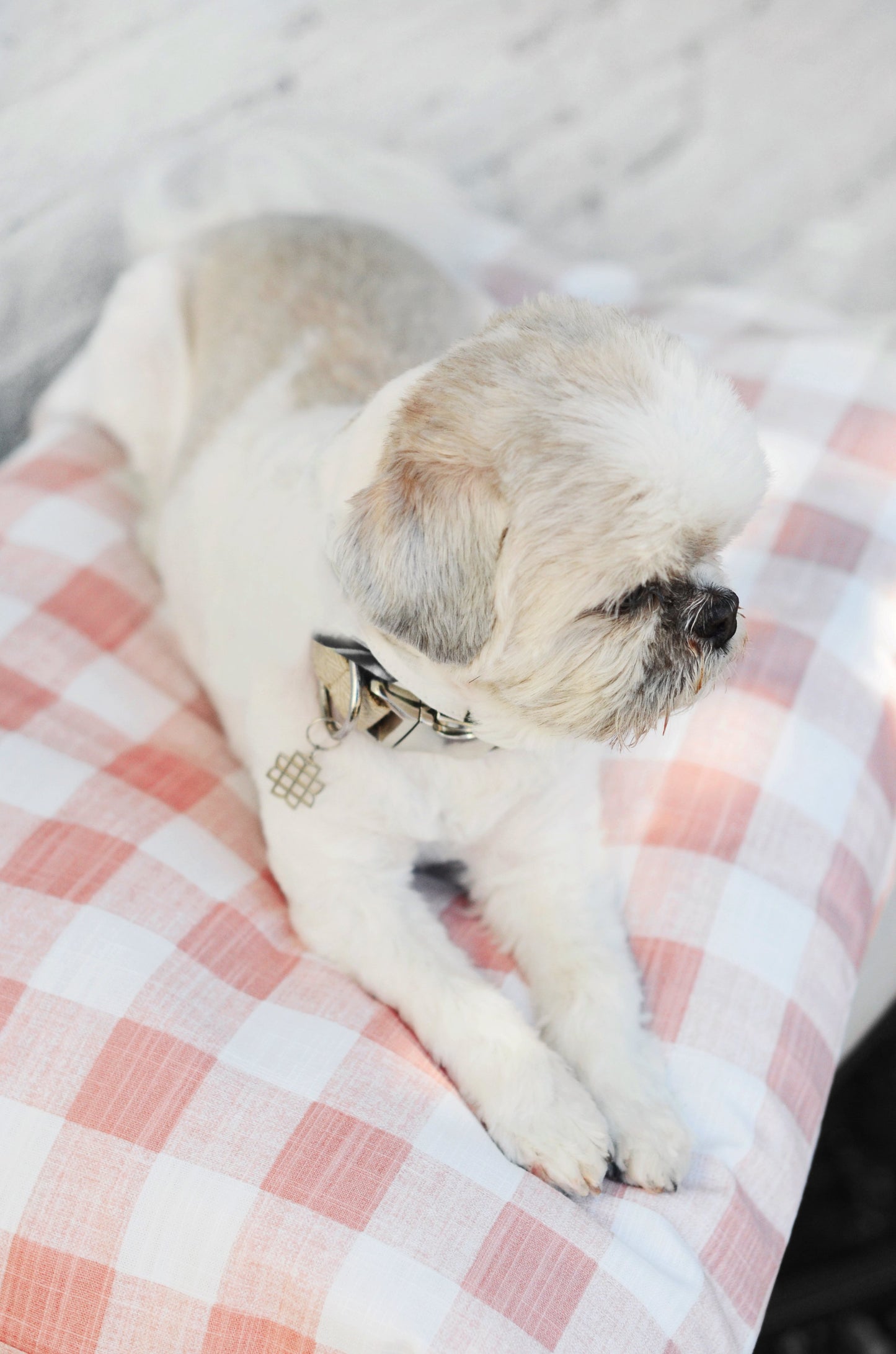 Blush Pink Gingham Check Dog Bed from The Foggy Dog 