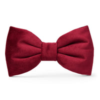 Burgundy Velvet Dog Bow Tie from The Foggy Dog Standard 