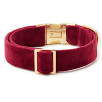 Burgundy Velvet Dog Collar from The Foggy Dog 