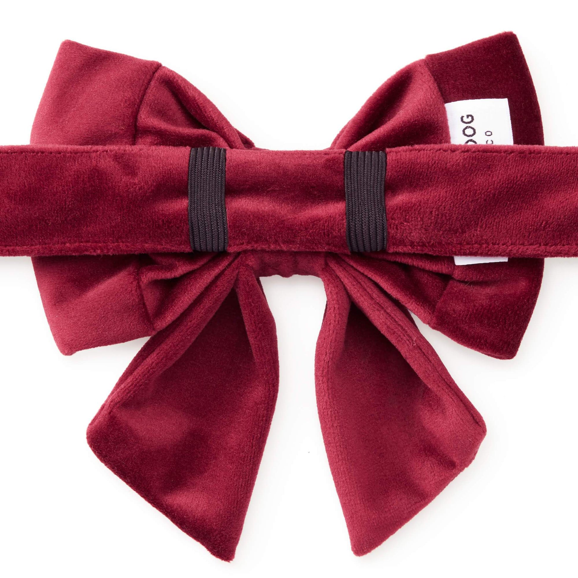 Burgundy Velvet Lady Bow Collar from The Foggy Dog 