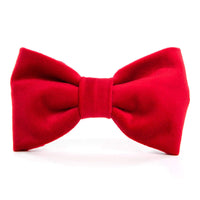 Cranberry Velvet Dog Bow Tie from The Foggy Dog