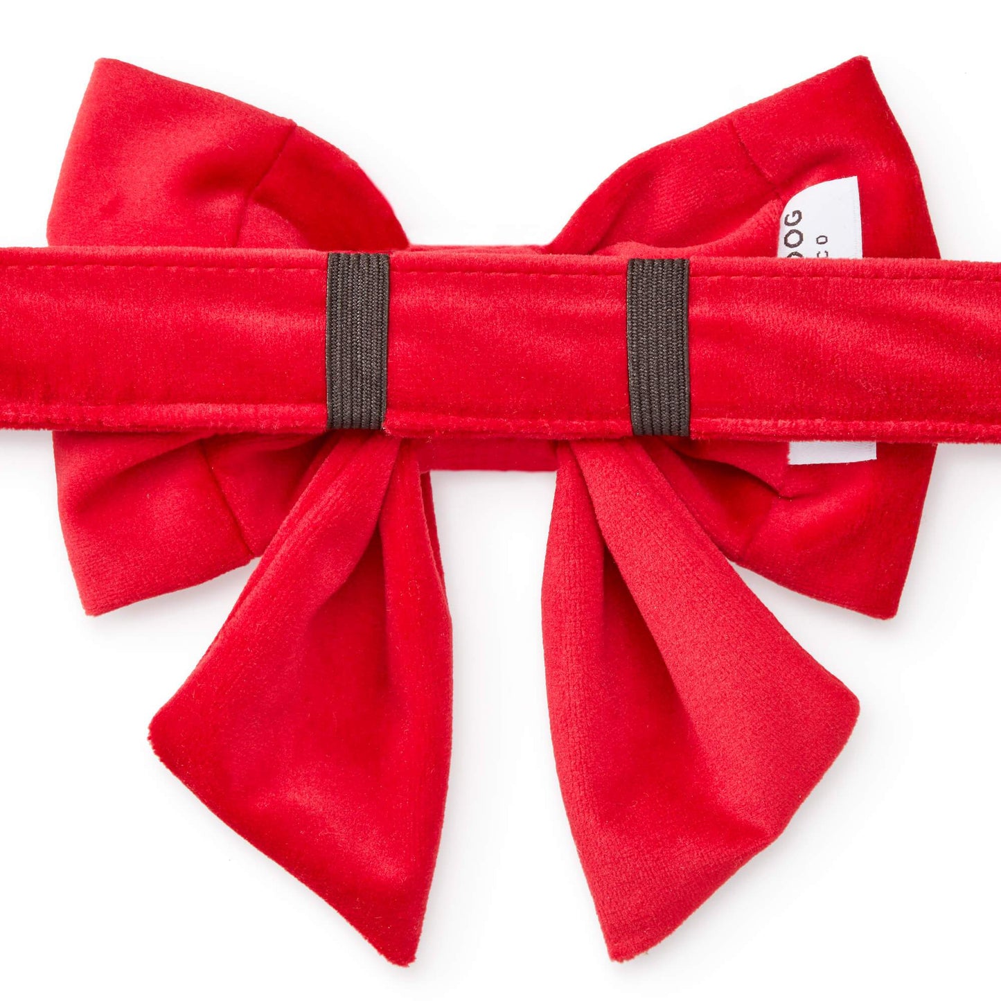 Cranberry Velvet Lady Dog Bow from The Foggy Dog 