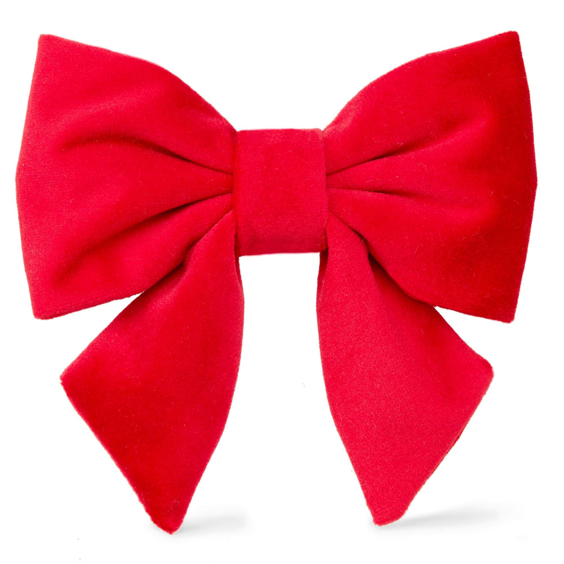 Cranberry Velvet Lady Dog Bow from The Foggy Dog