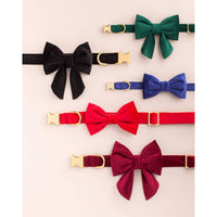 Forest Green Velvet Lady Bow Collar from The Foggy Dog 