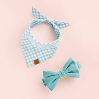 Robin's Egg Velvet Bow Tie Collar from The Foggy Dog 