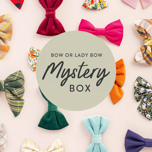 Bow Mystery Box from The Foggy Dog