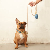 Flax Marine Rope Dog Leash (Standard/Petite) from The Foggy Dog 