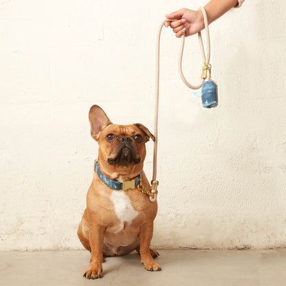 Flax Marine Rope Dog Leash (Standard/Petite) from The Foggy Dog 