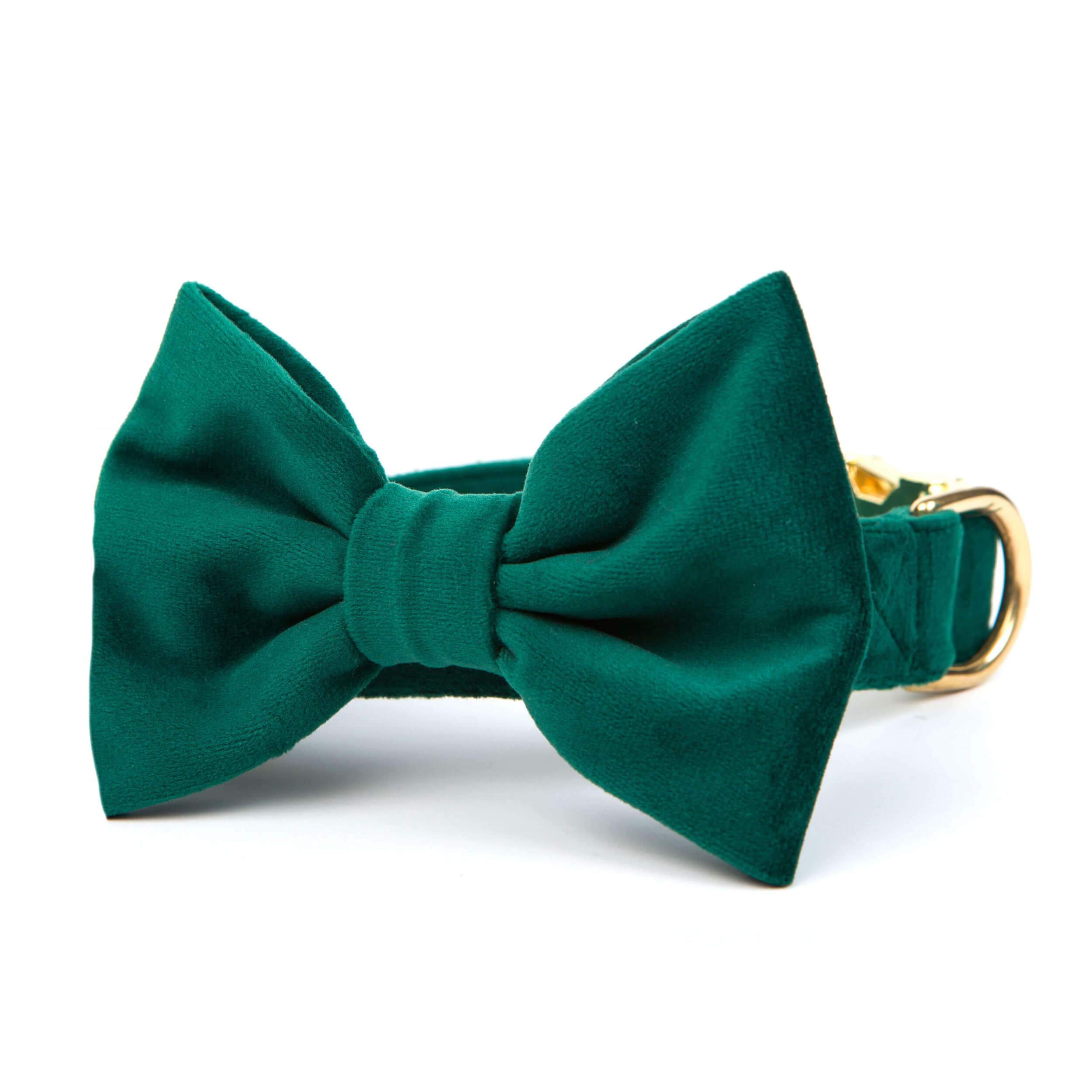 Frozen Velvet cheapest Collection-bow tie dark green-white | Black spots