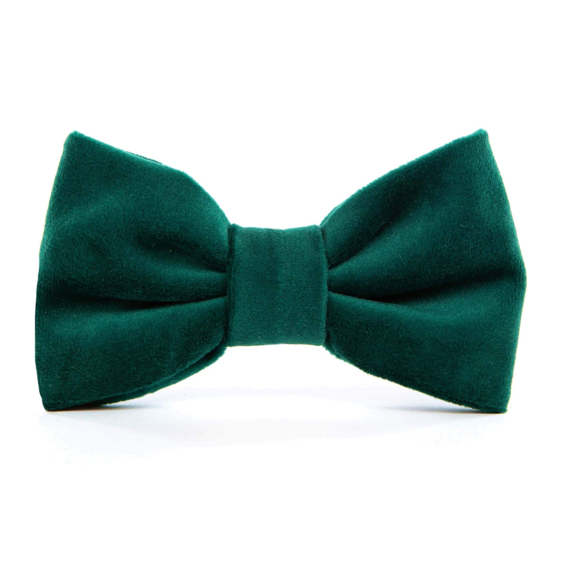 Forest Green Velvet Dog Bow Tie from The Foggy Dog