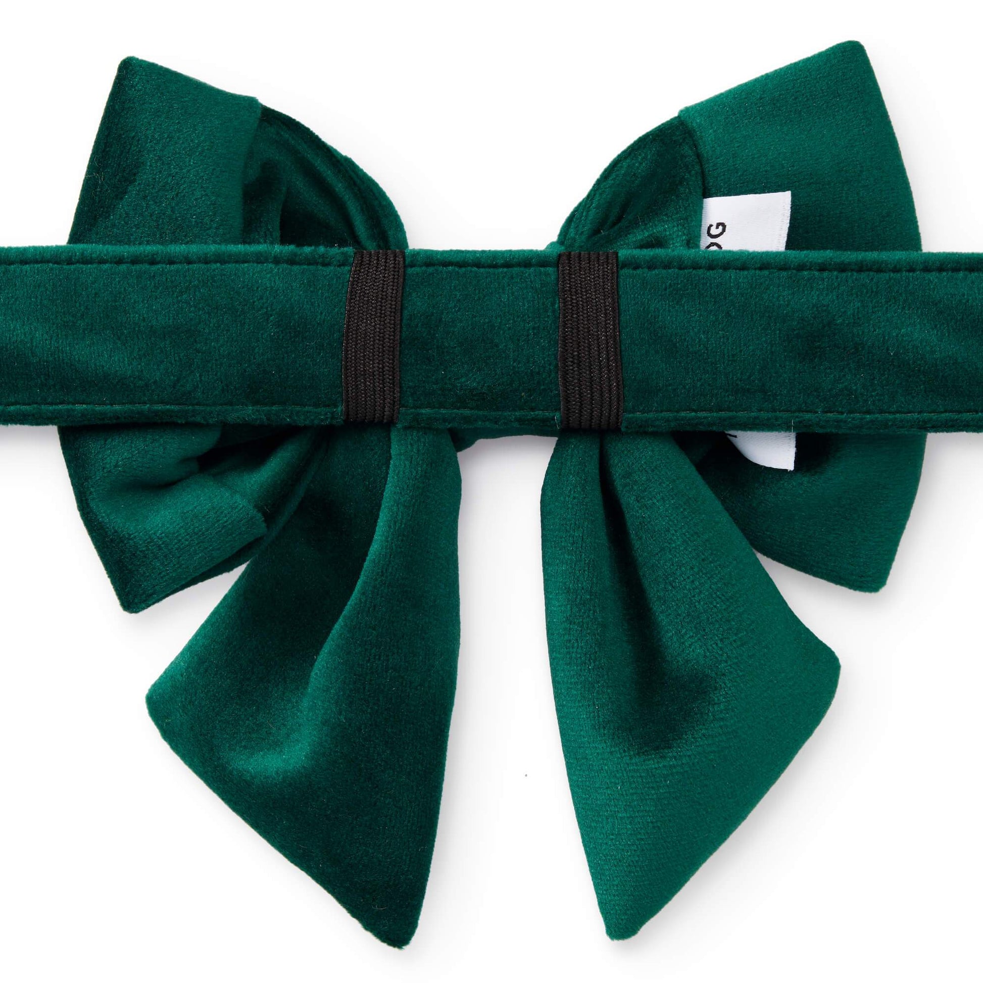 Forest Green Velvet Lady Dog Bow from The Foggy Dog 