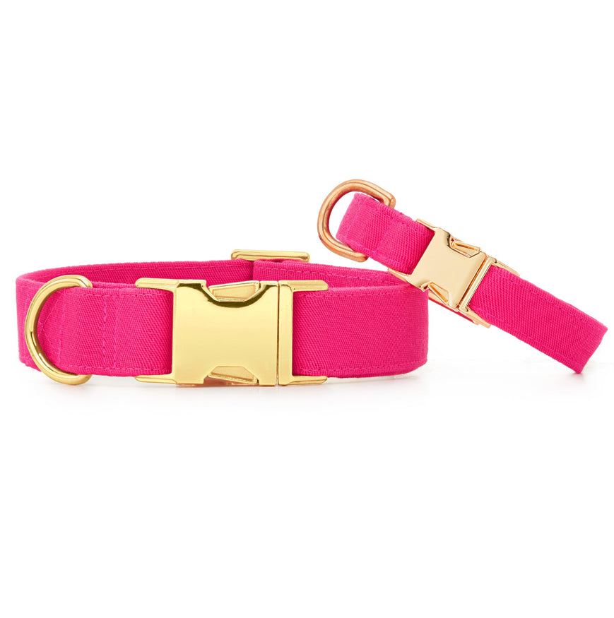 Blush Pink W/ Gold Stars Dog Collar Rifle Paper Co. 