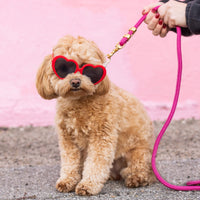 Hot Pink Marine Rope Dog Leash (Standard/Petite) from The Foggy Dog 