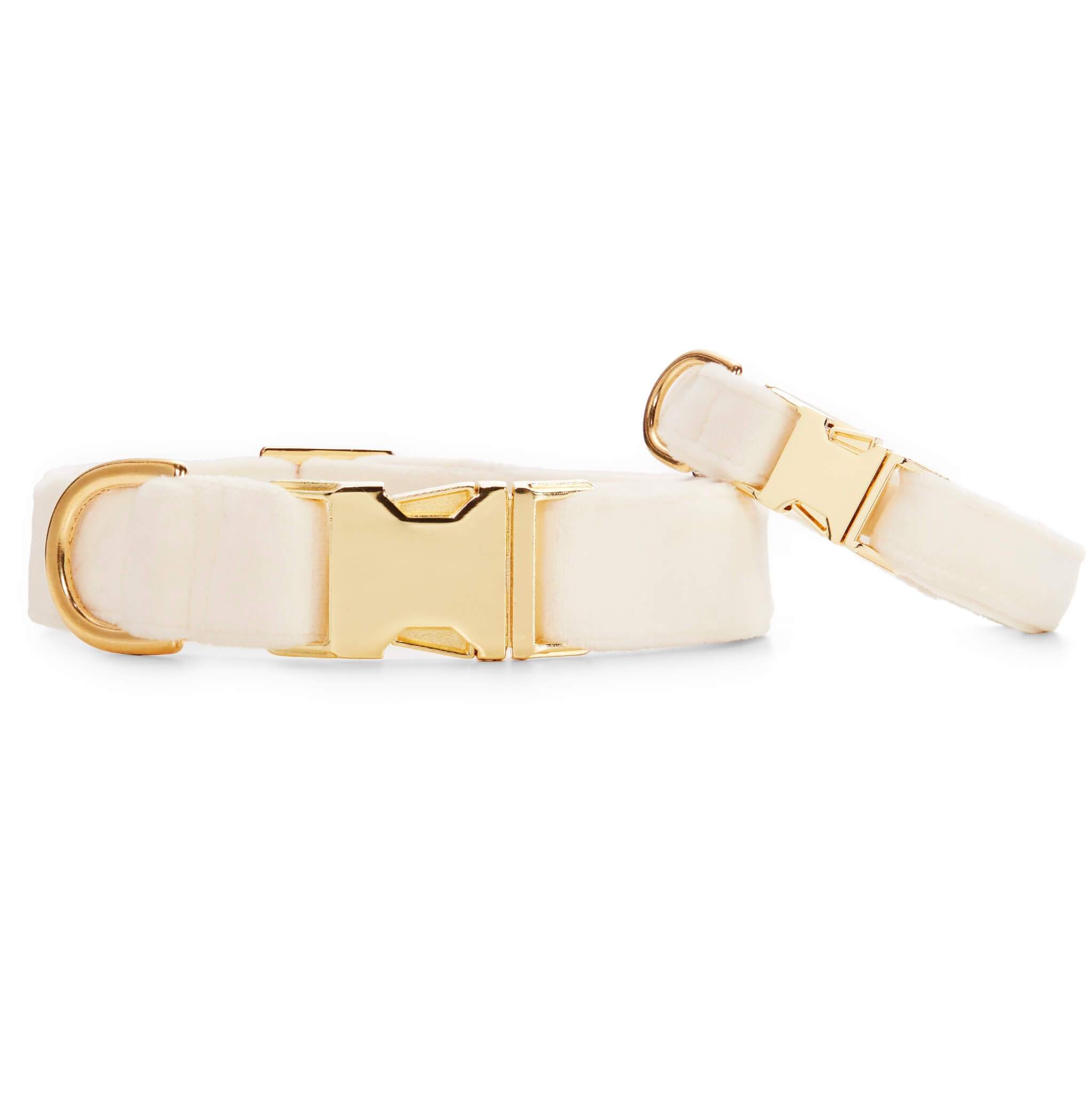 Dog collar *Vagabond* Chichi Ivory orders - made of dew and leather - selectable in silver, gold or rose gold