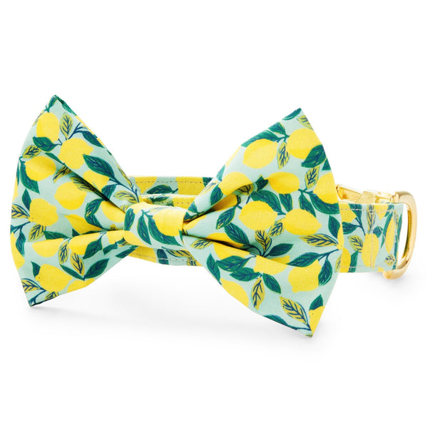 Colette Dark Pine Metallic Floral Dog Bow Tie – The Foggy Dog