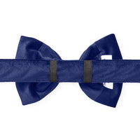 Navy Velvet Dog Bow Tie from The Foggy Dog 